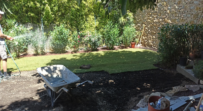 Débrousaillege totale du terrain environ 3000m² - Enlevement de quelques pieds de vignes MARSEILLAN 34340