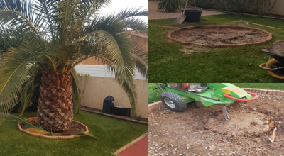 Elagage et Abbatage d'arbres sur agde, Marseillan et ses alentours 