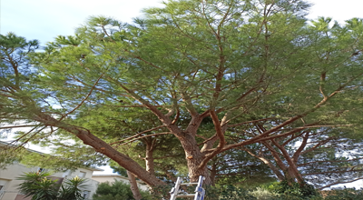 Un professionel dans tous l'herault et le languedoc rousillon 34