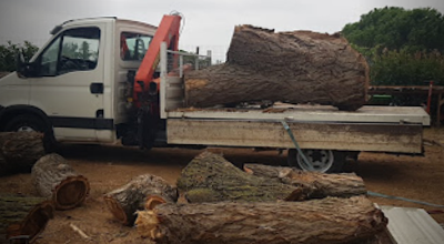 Elagage et Abbatage d'arbres sur agde, Marseillan et ses alentours 