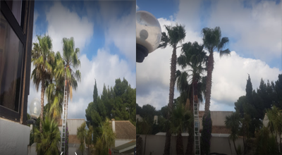 Elagage et Abbatage d'arbres sur agde, Marseillan et ses alentours 