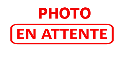 mise a niveau de la terre- géotextile - ajout de gravier - barriere en galavat -  enlevement d'un arbuste Agde 34300